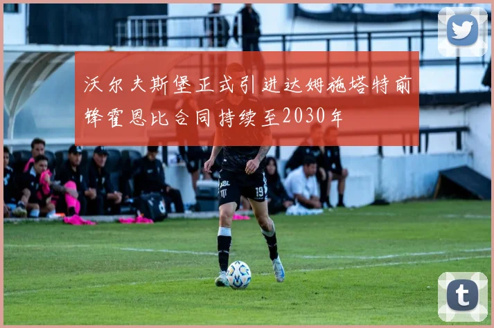沃尔夫斯堡正式引进达姆施塔特前锋霍恩比合同持续至2030年